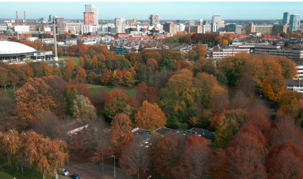 Gebouw Medina College